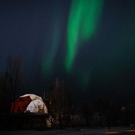Aera - Glass Cabins Tromso Ngoại thất bức ảnh